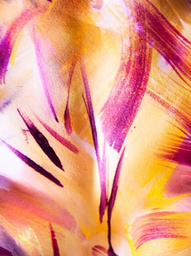 WhatsApp Image 2025-11-27 à 18.02.57_c33360f4