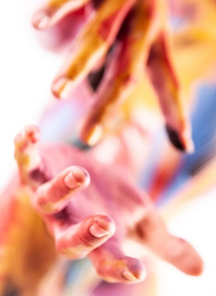 WhatsApp Image 2025-11-27 à 18.02.57_db71adba